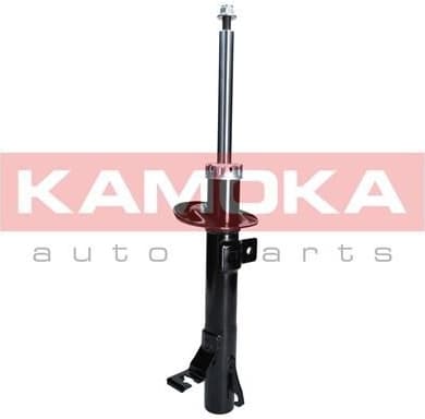 Shock Absorber 2000259