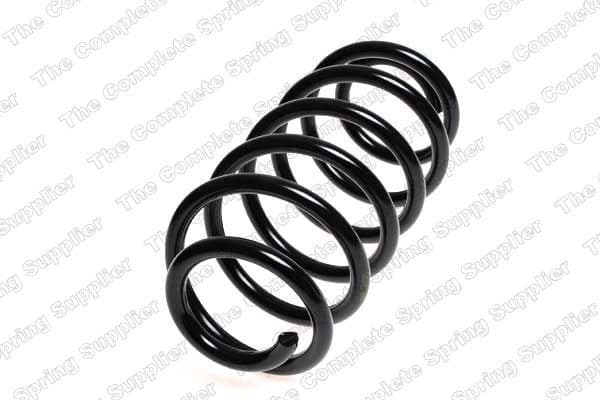 Suspension Spring 4242101