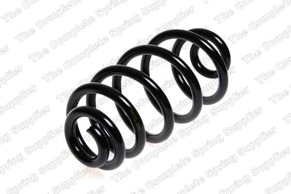 Suspension Spring 4204232