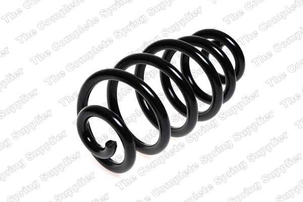 Suspension Spring 4204241