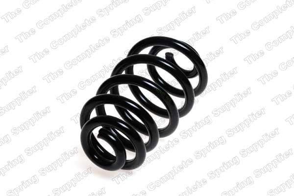 Suspension Spring 4204257