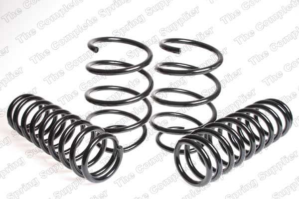 Suspension Set, springs 4508425