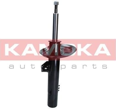 Shock absorber front 2000441