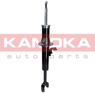 Shock absorber front 2000650