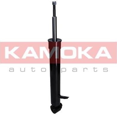 Shock Absorber 2000660