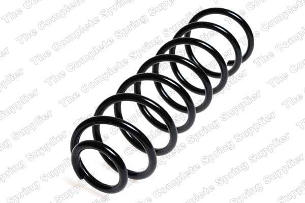 Suspension Spring 4204211