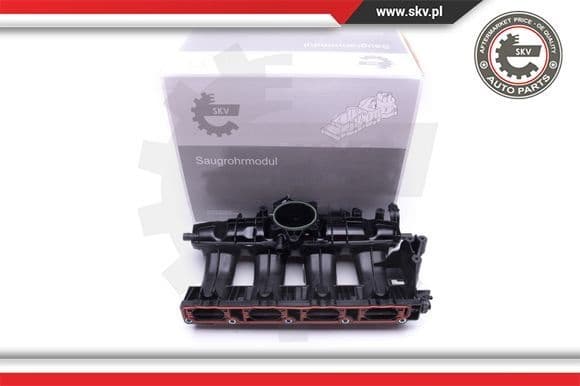 Intake Manifold Module 49SKV009