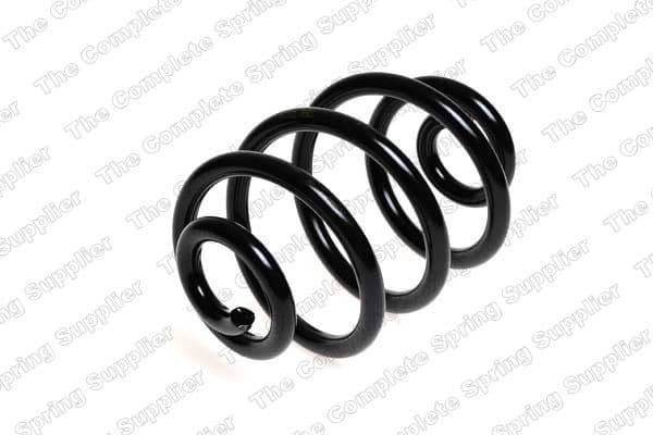 Suspension Spring 4208417