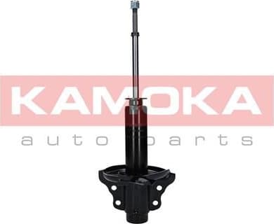 Shock Absorber 2000639