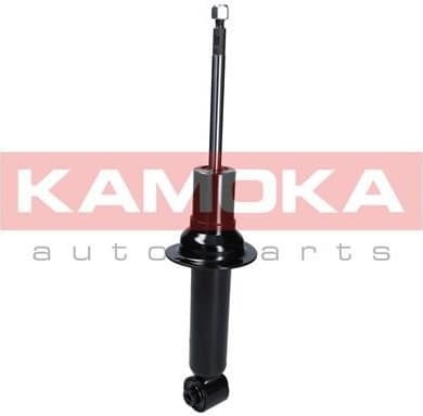 Shock absorber rear 2000681