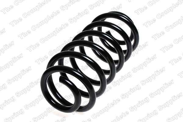 Suspension Spring 4242100