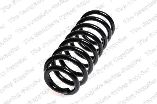 Suspension Spring 4204215