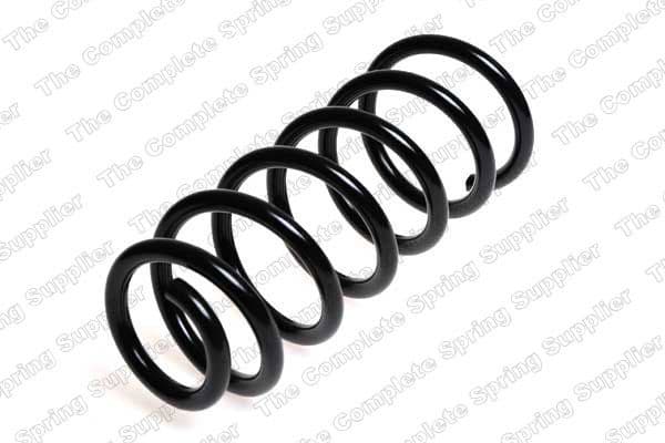 Suspension Spring 4204236