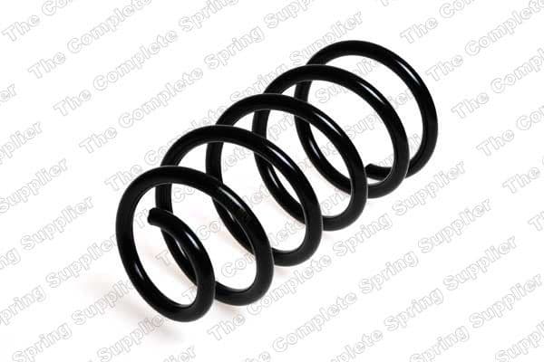 Suspension Spring 4226118