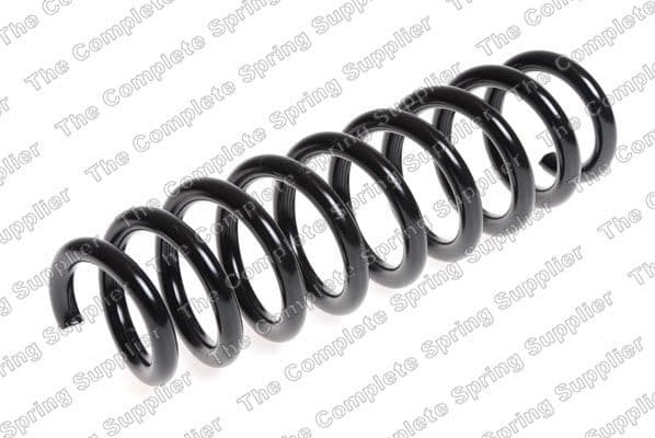 Suspension Spring 4208465