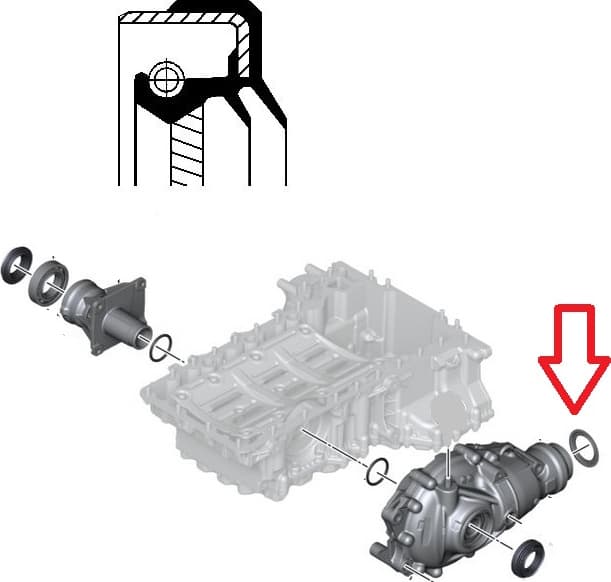 Seal differential-shaft 010 33796B