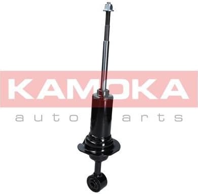 Shock Absorber 2000675