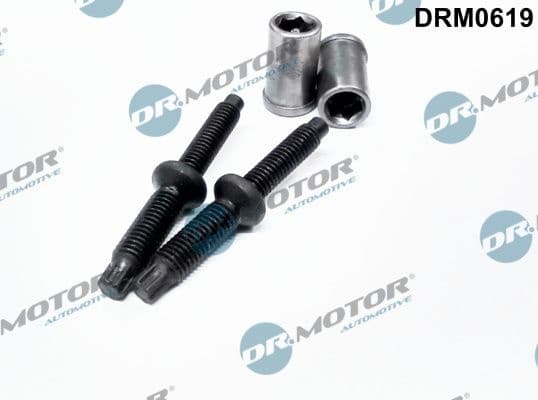Screw, injection nozzle holder DRM0619