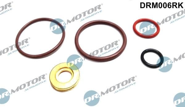 Repair Kit, unit injector DRM006RK