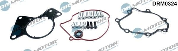 Repair Set, vacuum pump (braking system) DRM0324