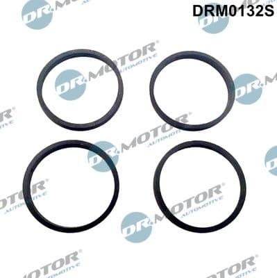 Gasket Set, intake manifold DRM0132S