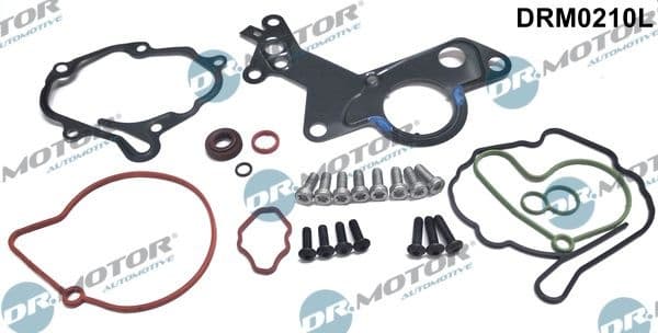 Repair Set, vacuum pump (braking system) DRM0210L