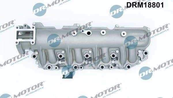 Intake Manifold Module DRM18801