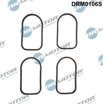 Gasket Set, intake manifold DRM0106S