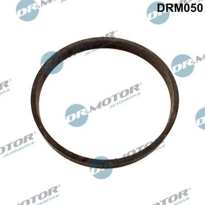 Gasket, EGR valve DRM050
