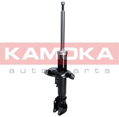 Shock Absorber 2000204