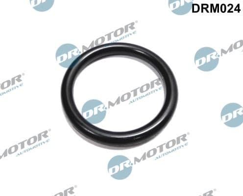 Gasket, coolant flange DRM024