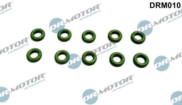 Seal Ring, injector DRM010