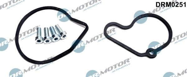 Repair Set, vacuum pump (braking system) DRM0251
