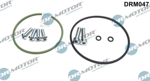 Repair Set, vacuum pump (braking system) DRM047