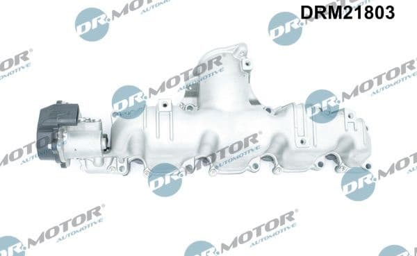 Intake Manifold Module DRM21803