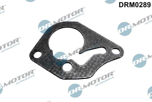 Gasket, vacuum pump DRM0289