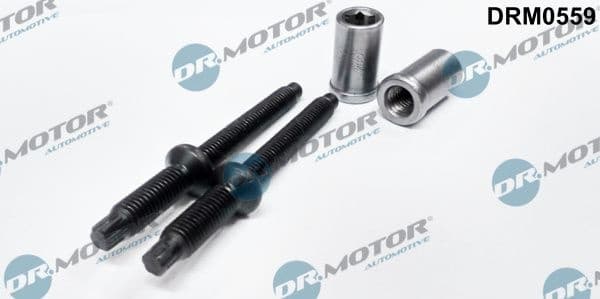 Bolt injector fitting DRM0559