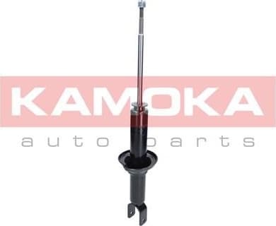 Shock absorber rear 2000678
