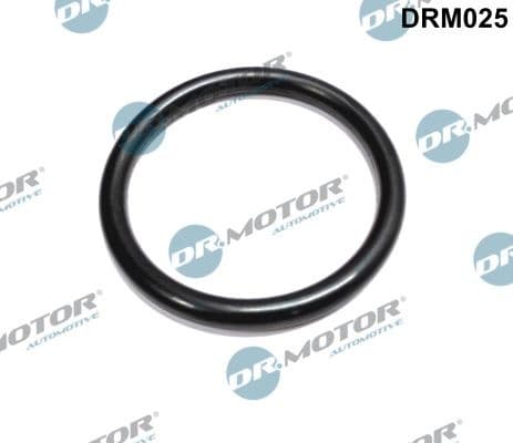 Gasket, throttle body DRM025