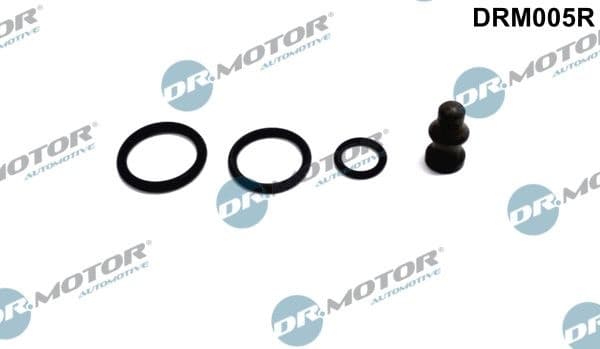 Repair Kit, unit injector DRM005R