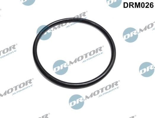 Gasket, throttle body DRM026