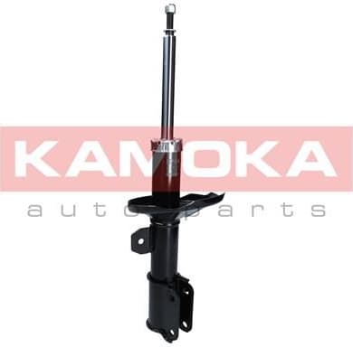 Shock Absorber 2000263