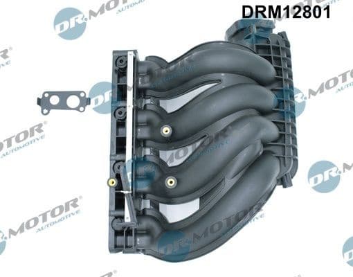 Intake Manifold Module DRM12801