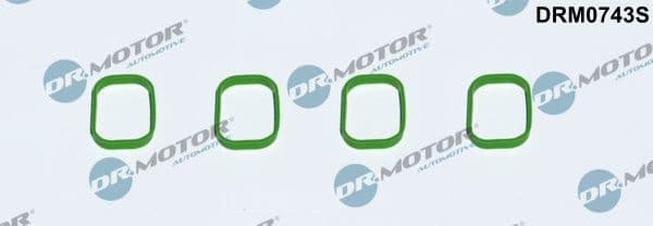 Gasket, intake manifold DRM0743S
