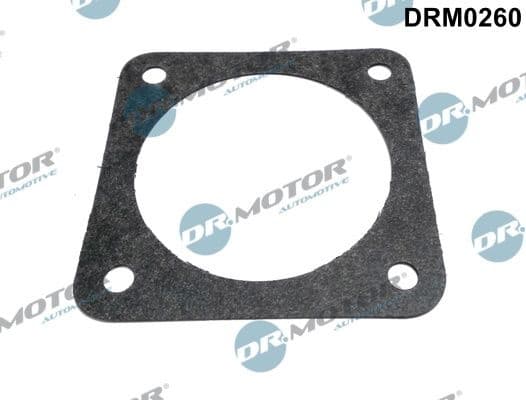 Gasket, throttle body DRM0260