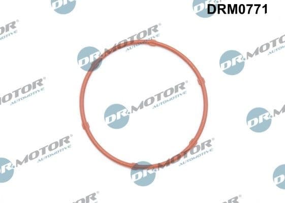 Gasket, oil pump DRM0771