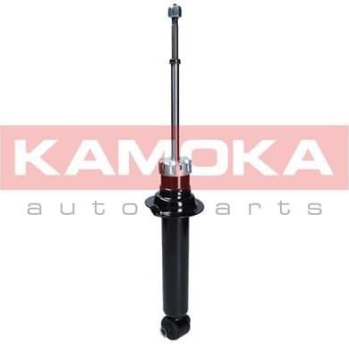 Shock Absorber 2000658