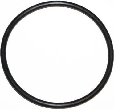 Seal Ring 455.190