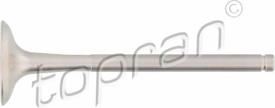 Exhaust Valve 700 656