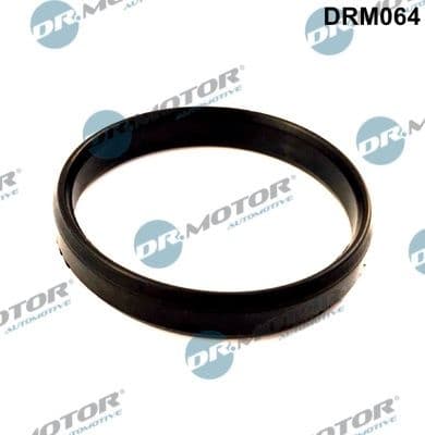 Gasket, throttle body DRM064